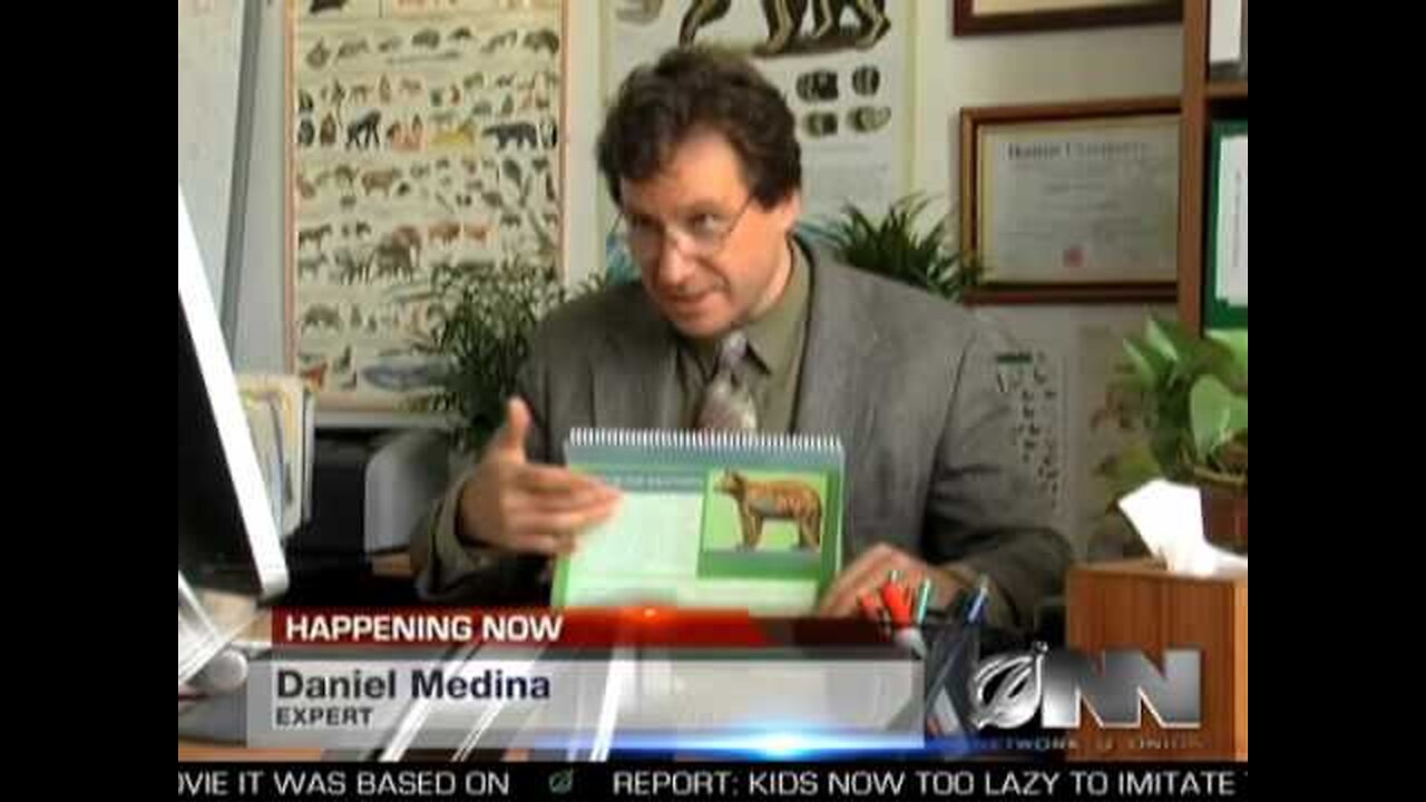 What the news sounds like after you've woken up