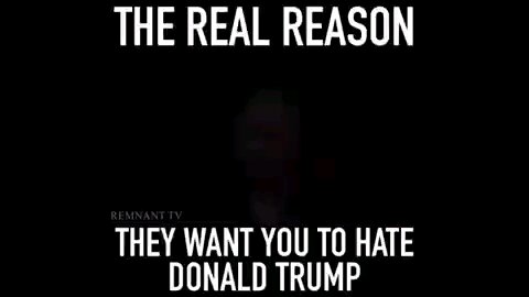 the real reason the want you to hate Donald Trump
