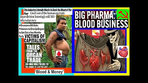 The Blood Plasma, Human Egg Trade, Organ Trafficking Files (DEEP-DIVE) Capitalism, Human Trafficking