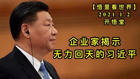 KWT735 210102-13 企业家揭示无力回天的习近平【悟里看世界】