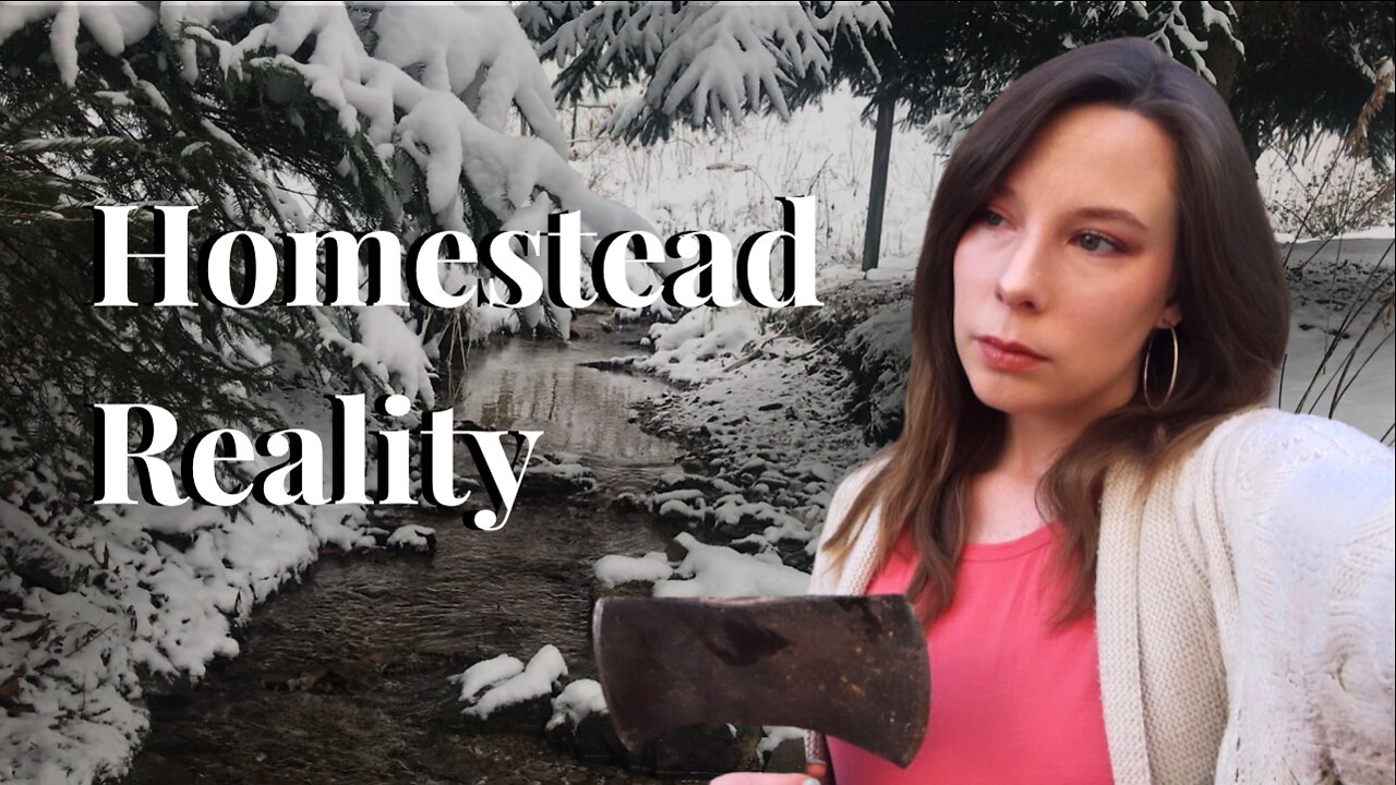 The Reality of Homesteading | First Snow of The Year