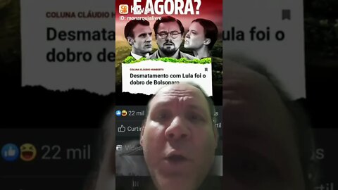 Com Lula, desmatamento foi o dobro de Bolsonaro. Coitada da Amazônia se Lula Voltar