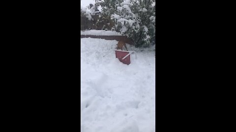 Joans first snow