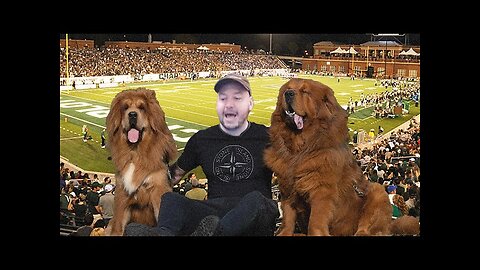 Two Tibetan Mastiffs Mansion (Scuffed Realtor with Nick Rochefort)