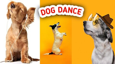 Dog Dance