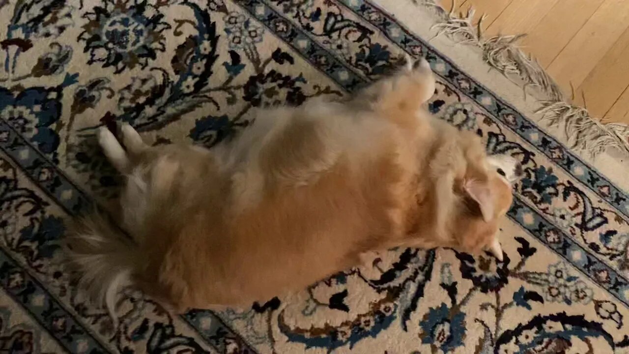 Absolute LOAF (23) | 69 Seconds of Ern