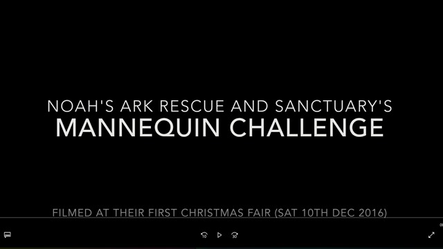 Mannequin challenge at Noah's Ark Rescue Christmas Fair