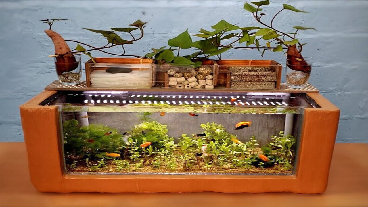 How to turn a styrofoam box into a beautiful aquarium