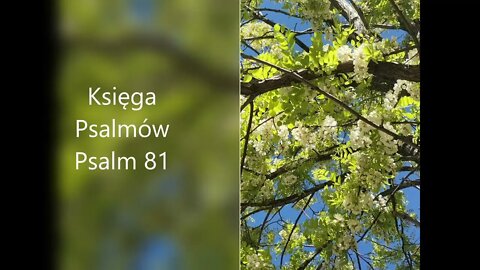 Księga Psalmów - Psalm 81