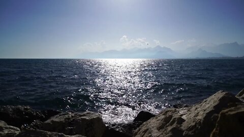 The sound of the sea for sleep. Seagulls. Sound of the surf. Sounds of nature.