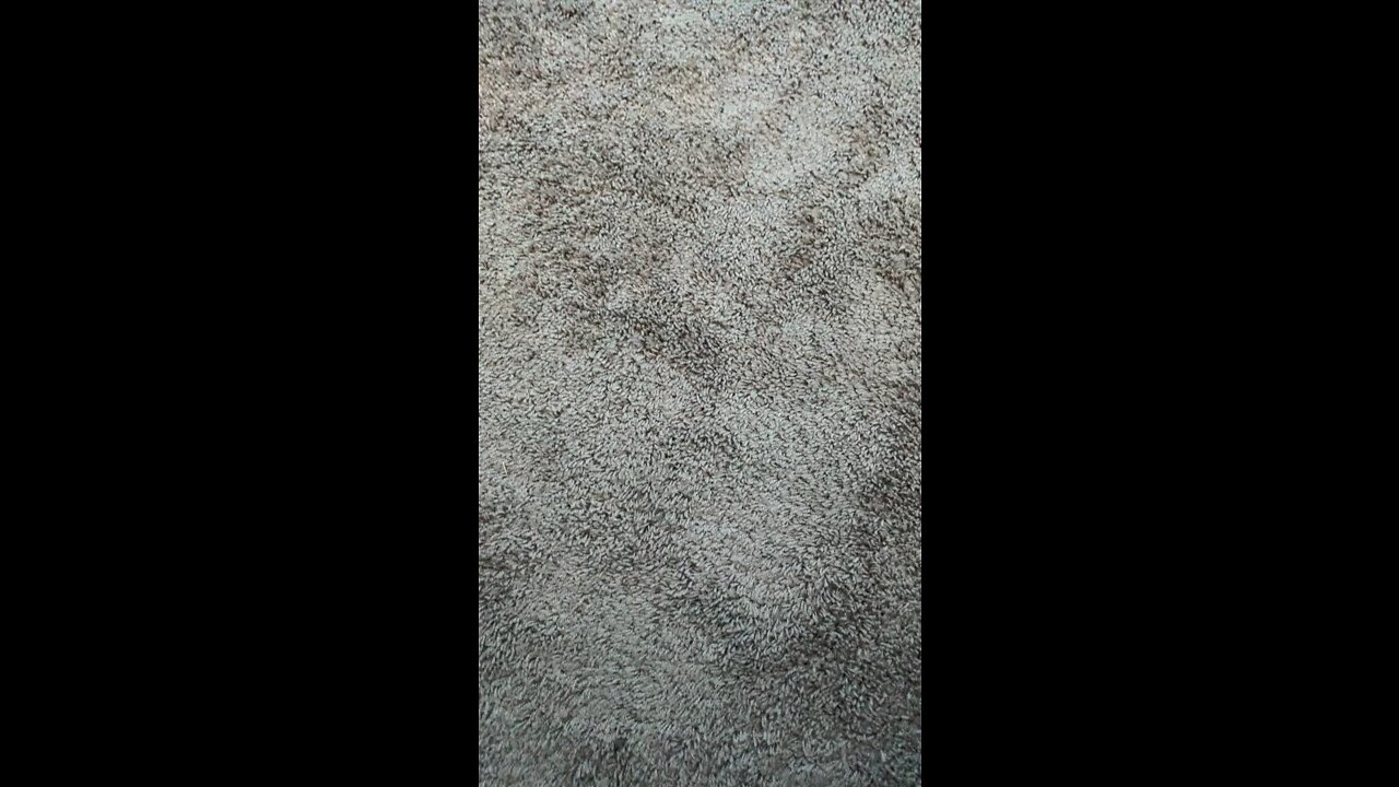 Tre