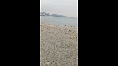 deniz