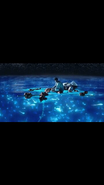 Real Life Avatar | Strange Phenomenon - Bioluminescence