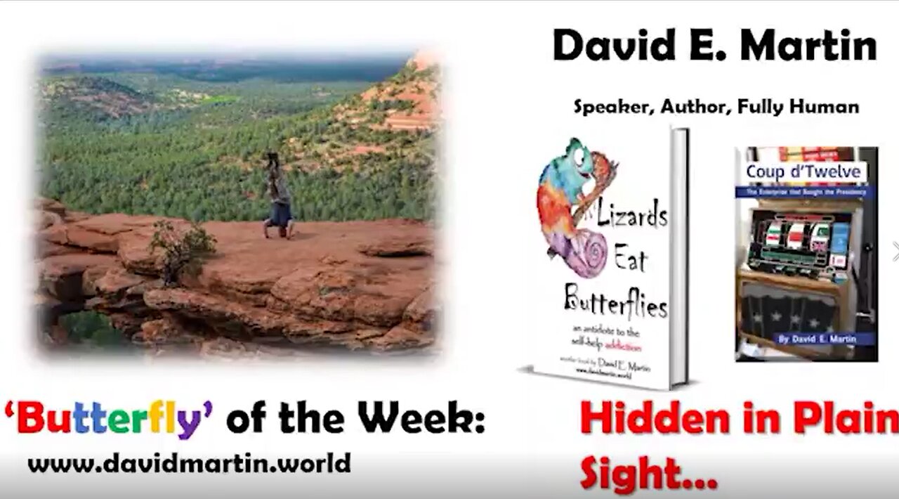 Butterfly of the Week- Hidden in Plain Sight - D r. David Martin - 1-11-21