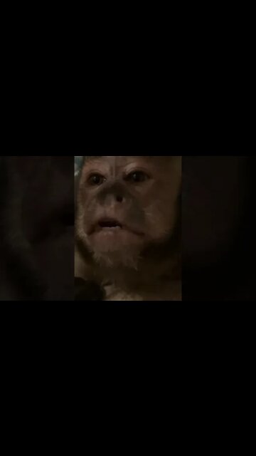 Rise & Shine #shorts