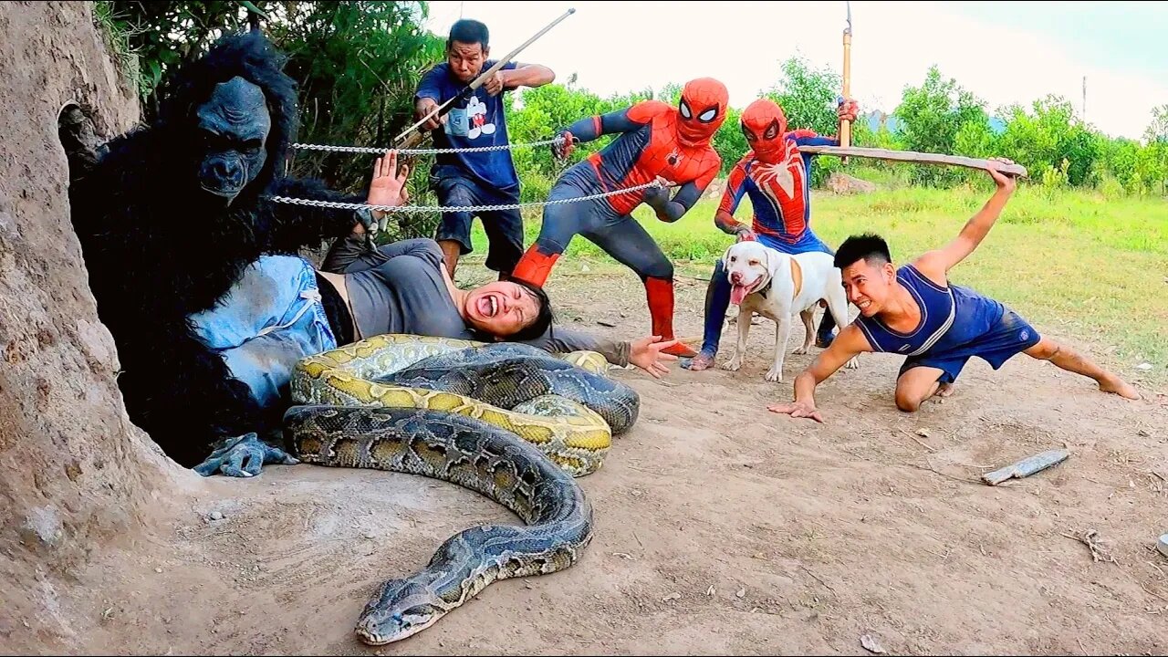 Team Spider-Man And Pitbull Dog Confront Fierce Gorilla Monster To Save The Girl.