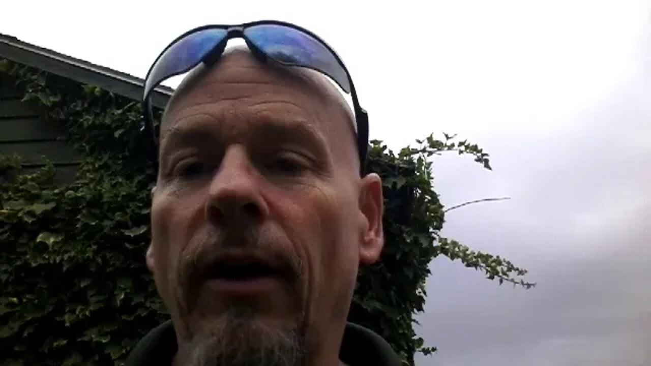 Who Wins In A Slap Fight Between Jordan Peterson Or Rollo Tomassi