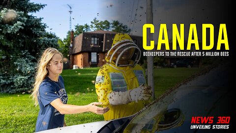 Beekeepers To The Rescue After 5 Million Bees Fall Off Truck In Canada || News 360 ||