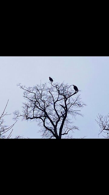 God’s Promises Are Sure