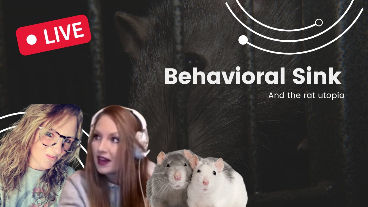 Rat Utopia & the behavioral sink experiment