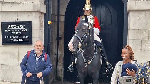 The horse has no name guard wont answer #horseguardsparade