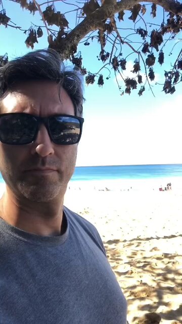 Wanna learn how to create AI generates short videos?