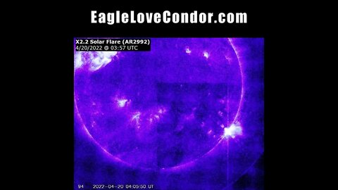 X Class 2.2 Solar Flare from Solaris ~ 5D Gamma Plasma Waves #shorts