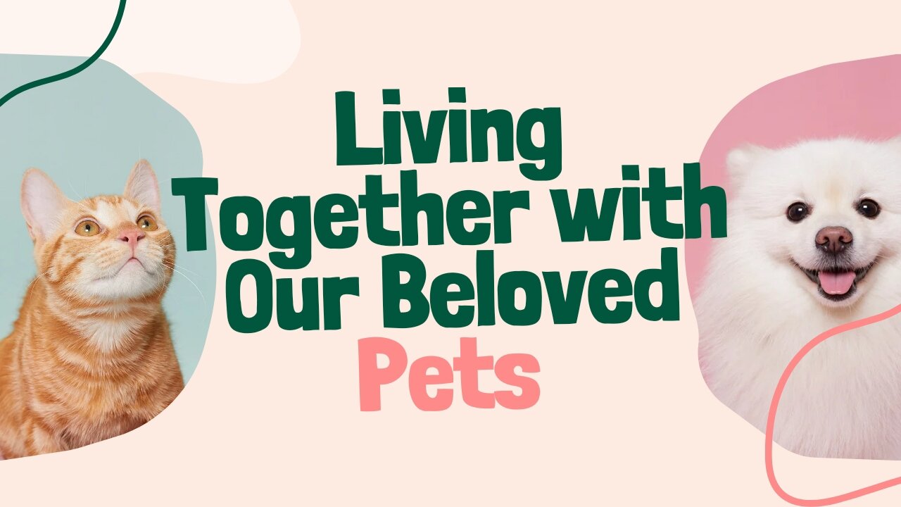 Living together with our beloved pets 🐶