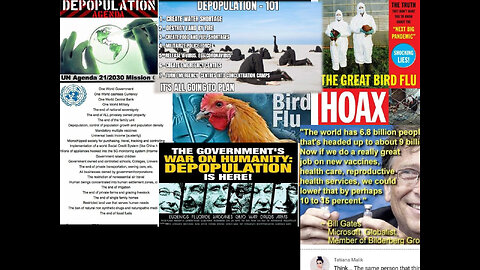 BIRD FLU PLAN SCENERIO JUST LIKE EVENT 201 THE NEXT STAGED PLANDEMIC MIGHT BE COMING