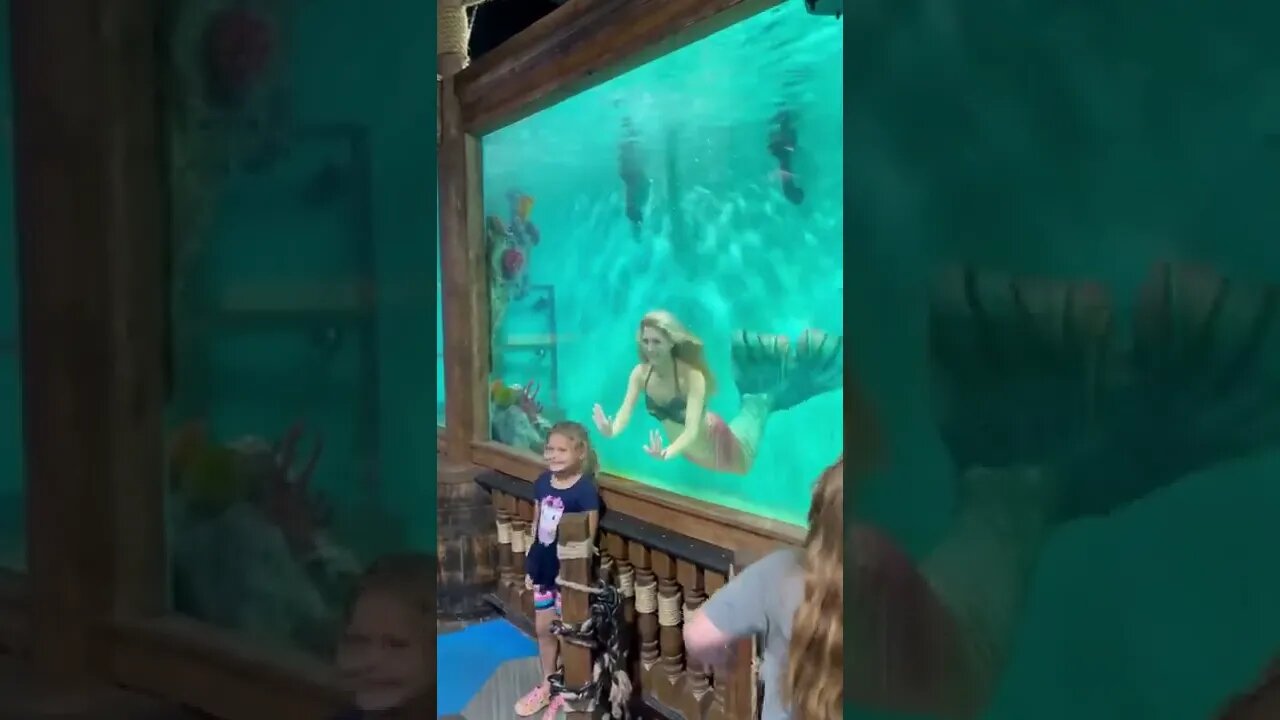 show de sereia #shorts