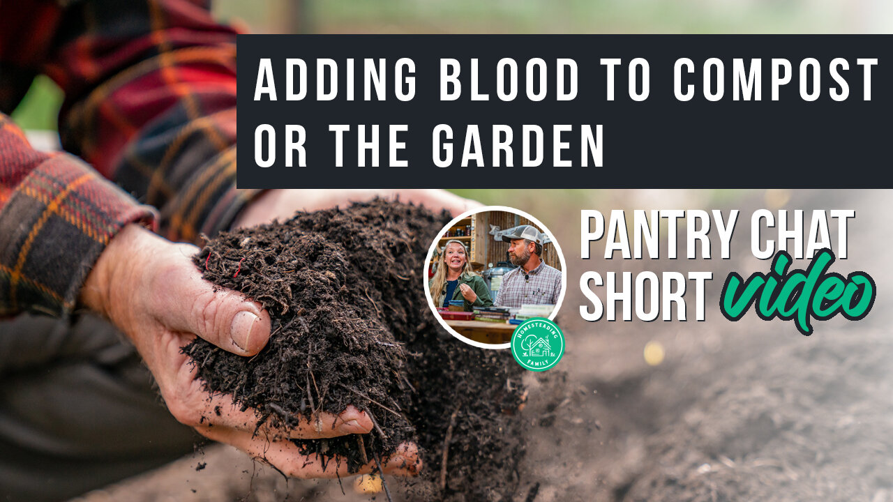 Pros and Cons of Adding Blood to Compost or the Garden | Pantry Chat Podcast Short