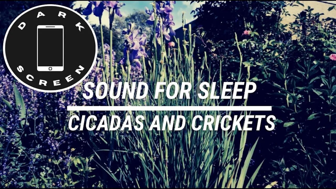 Sound for sleep Cicadas and Crickets on Dark Screen