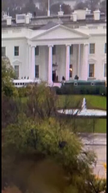 White House Army Buses