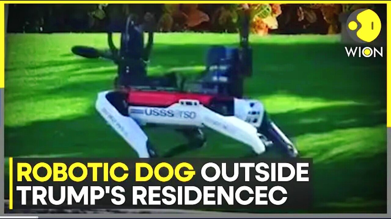 Robotics Dog Outside Trumps Residence #24_news