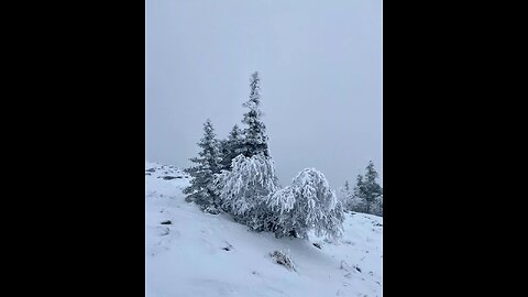 🇷🇺 Снежное царство Уреньги, вторая сопка/Reino da neve de Urenga, a segunda colina 🇵🇹