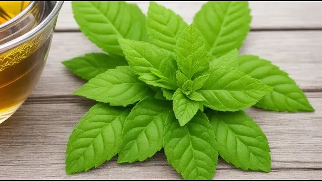 Unlocking the Benefits of Tulsi Leaves for Optimal Health.