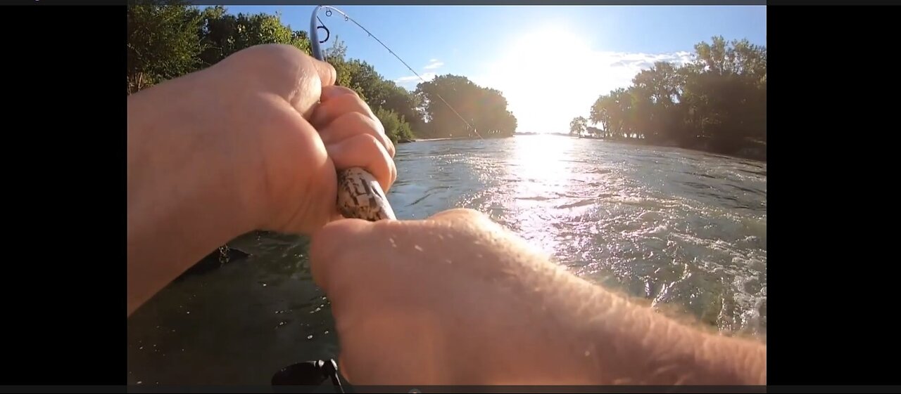 A Couple Wipers in the Fast Water at the Inlet