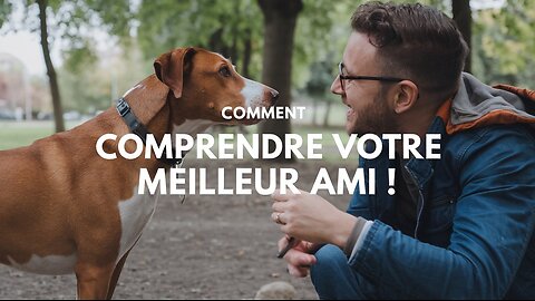 Déchiffrez le langage corporel des chiens et renforcez le lien avec votre animal de compagnie !