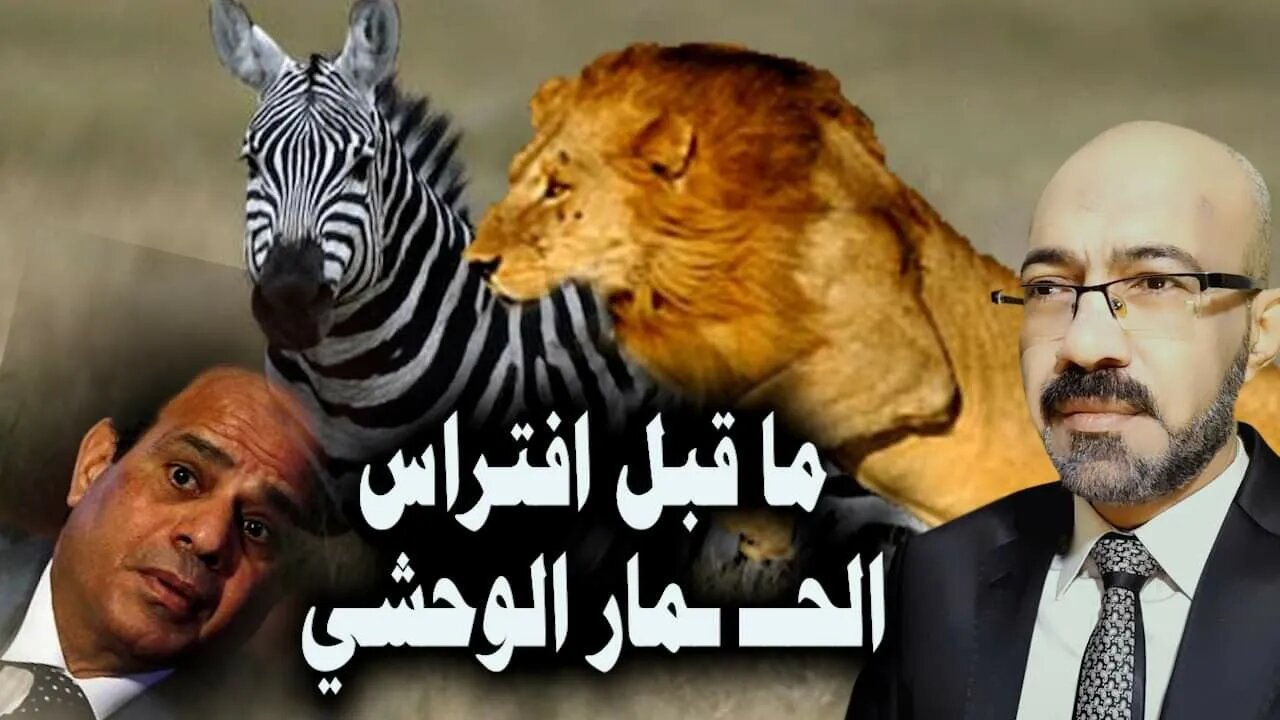 ما قبل افتراس الحمااار الوحشي