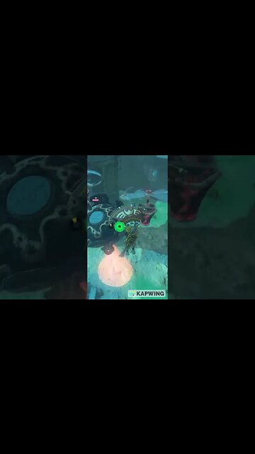 PREPARATION 4 [TOTK] I CAN'T WAIT!!