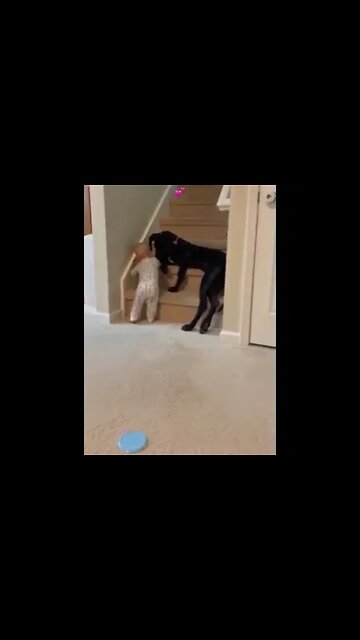 Cachorro já e o melhor amigo desde a infância! #shorts