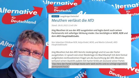 Totalversagen! Wie der Fall Meuthen Journalisten auffliegen lässt