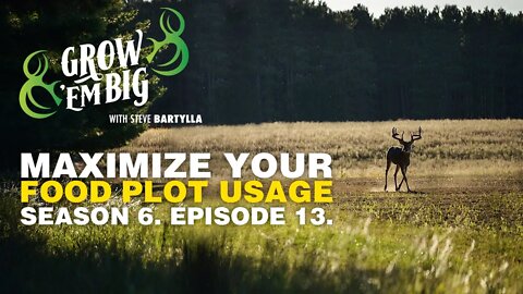 Maximize Your Food Plot Usage