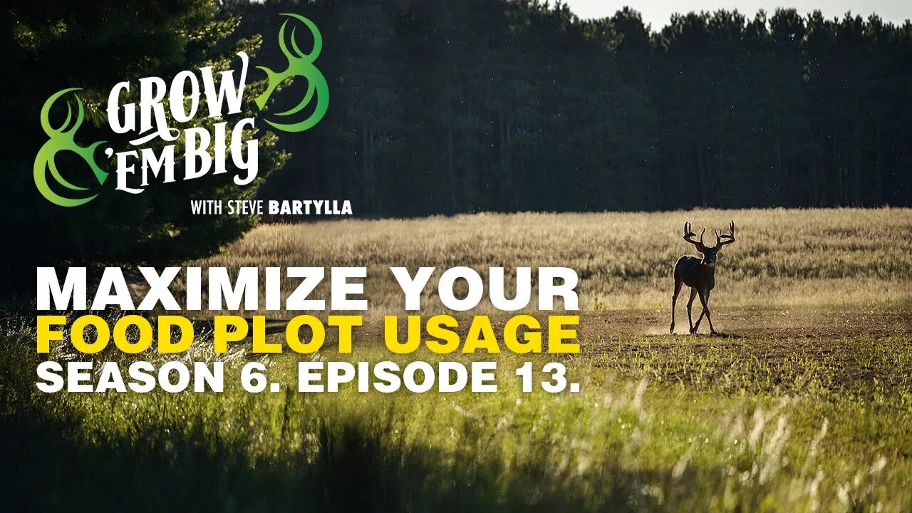 Maximize Your Food Plot Usage