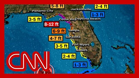 See where Idalia's storm surge is expected to be highest