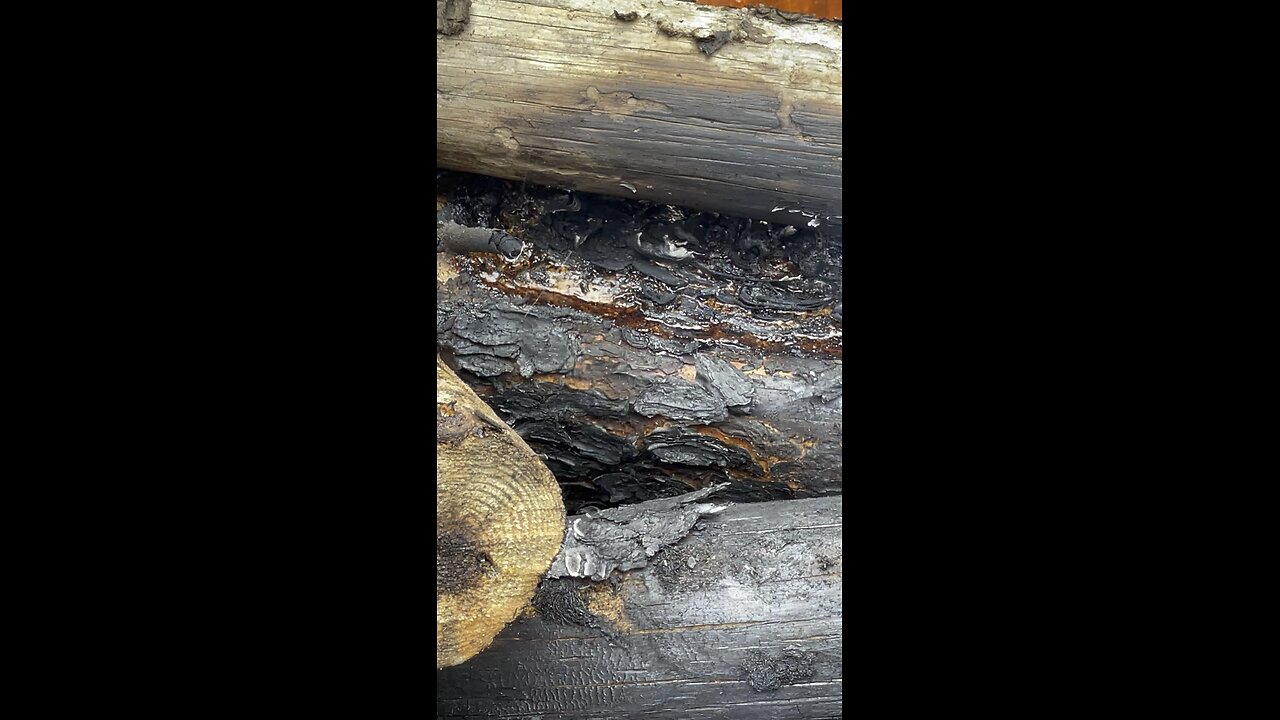 Bubbling Sap