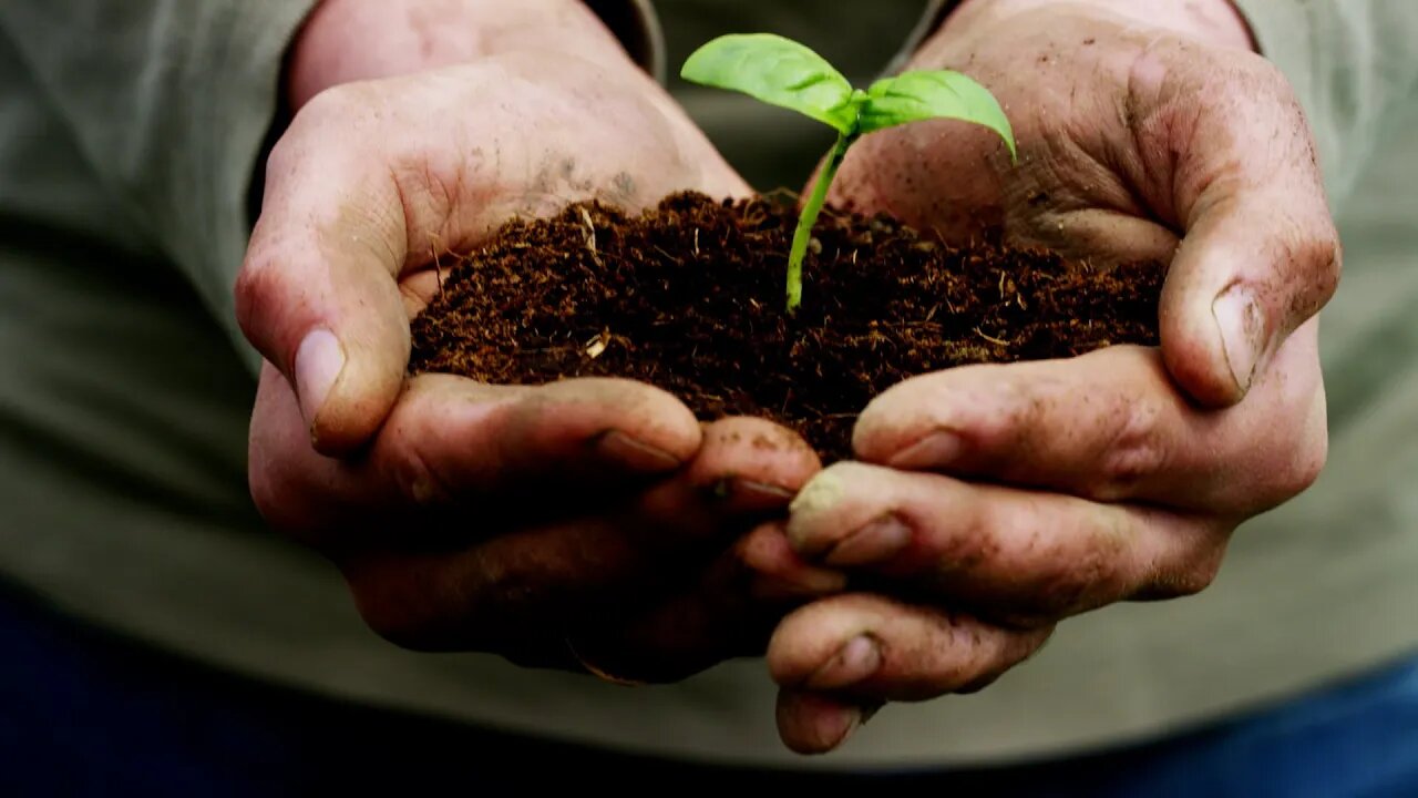 Environment Week Taking Place In Lethbridge - June 8, 2022 - Micah Quinn