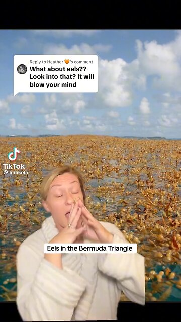 Extraordinary Eels In The Bermuda Triangle & Why