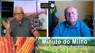 Seca continua ceifando o Milho nos EUA e China