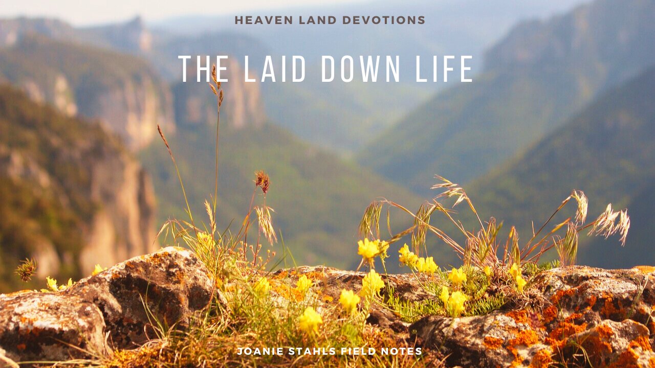 Heaven Land Devotions - The Laid Down Life